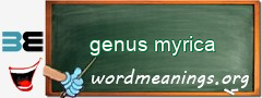 WordMeaning blackboard for genus myrica